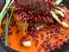 -黄潇洒老火锅(九眼桥宏济巷店)