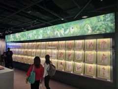 -四川大学博物馆