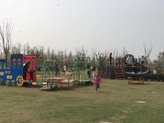 -上海长兴岛郊野公园