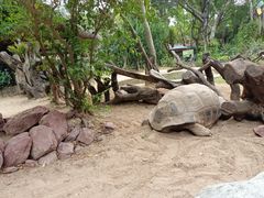-广州长隆飞鸟乐园