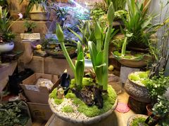 -双季花艺园艺市场(浦东店)
