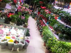 -三旗百汇商品城