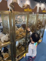 -奈尔宝·儿童乐园·亲子餐厅(鄞州万达店)