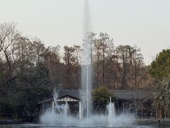 -重庆鸡公煲·青锅花椒鱼(牡丹江路店)
