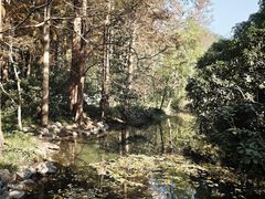 -九曜山
