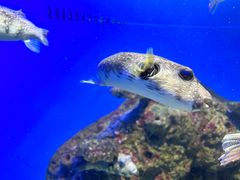 -泉城欧乐堡海洋极地世界