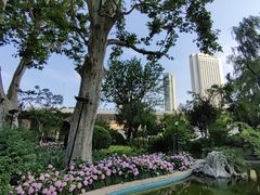-静安公园(静安寺街道)