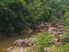 -广州白江湖森林公园