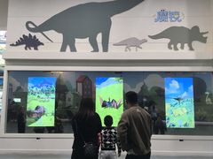 -安徽省地质博物馆