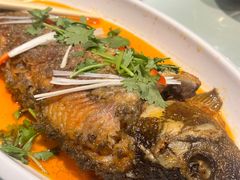 蔡家功夫鱼-蔡家酒楼(一德街店)