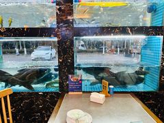 -浔味·山屿湖·正宗全鱼宴老字号