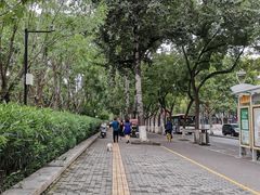 -莲湖公园