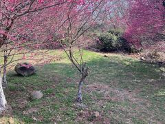 -南京市江宁方山