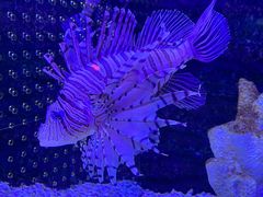 -秦皇岛新澳海底世界