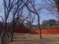 -北陵公园