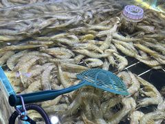 -聚盛源蒸汽海鲜火锅烤肉自助(巨川金海岸购物广场店)