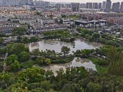 -亭林公园