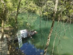 -石台牯牛降景区