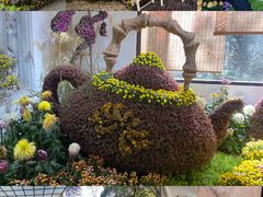 -杭州植物园