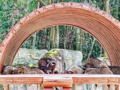 -杭州野生动物世界