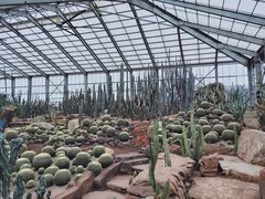 -南通洲际绿博园