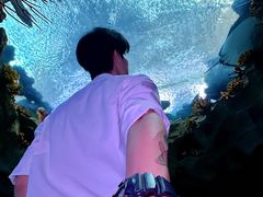 -南昌融创海世界