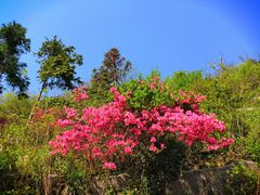 -木兰云雾山