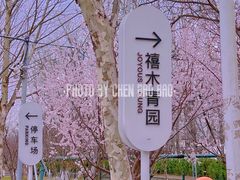 -禧宴Joyous Restaurant(禧园店)