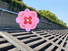 -上海滨江森林公园