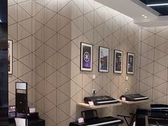 -知音艺术教育培训·钢琴培训·音乐培训(河西金鹰世界校区)