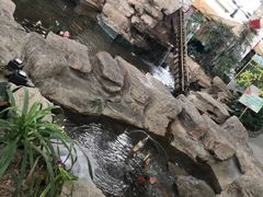 景观位-森谷美食公园(杨行店)