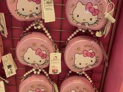 -安吉Hello Kitty乐园