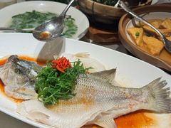 清蒸鲈鱼-大鸽饭(岗顶店)