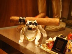 -麥坊俱樂部Maltfun Club