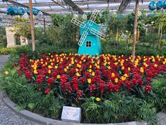 -南宫五洲植物乐园