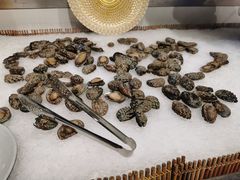 鲜活鲍鱼-圣罗巴甄选自助(麦凯乐店)