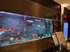-手佳·水疗汇(嘉益店)