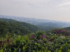 -大家乐(广州天河城六楼店)
