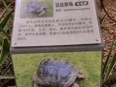 -广东惠东海龟国家级自然保护区