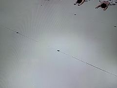 -朵拉舞蹈·少儿舞蹈·成人舞蹈(百花校区)