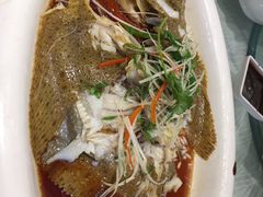 多宝鱼-金蝉食府(维吉奥广场店)