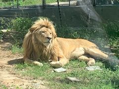 -石家庄市动物园