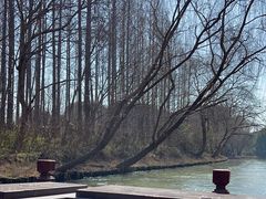 -同里国家湿地公园