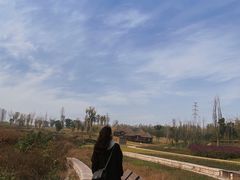 -白鹭湾湿地公园