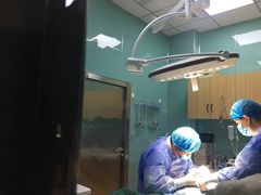 -惠康宠物医院(华能路店)