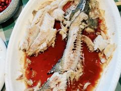 -紫光园·烤鸭·北京菜(劲松店)