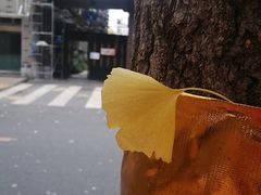 -牛王庙特色面(杏苑公寓店)