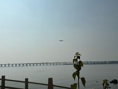 -宝安西湾红树林湿地公园