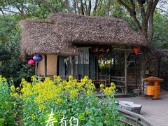 -天目湖山水园