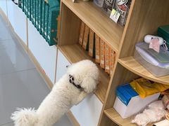 -瑞派宠物医院·24h·骨外科·皮肤科·全科宠物医疗转诊中心(沈阳浑南院)